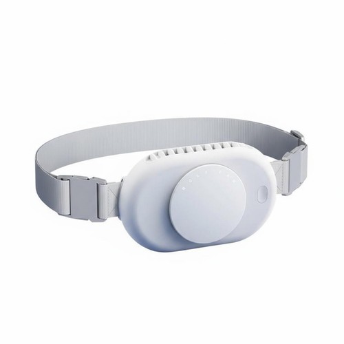 Waist belt fan quiet - waist,